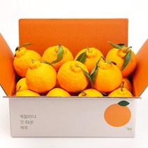 깨비농원 제주 한라봉, 1box, 한라봉 9kg 대과(20-30과)