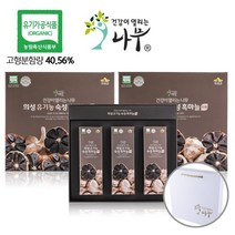 건강이열리는나무 유기농 숙성 흑마늘 스틱10 gX30포/2세트 236564, 2개