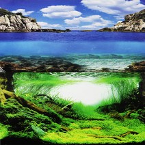 피알피쉬 양면 백스크린 (바다섬+수초)