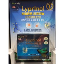관절튼튼 리프리놀 300mgx40캡슐 2개 초록입홍합오일, 3세트, 300mg