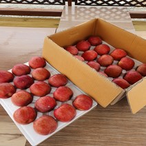 (다달다유통)정품 산지직송 고당도 청도 꿀사과 부사사과 32내~36내 10kg 경북 청송 안동