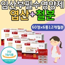 종근당 철분보충제 엽산 비타민B 구리 헴철 구리 햄철 식약처인증 건강기능식품 IRON 비타민D 비타민E