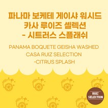 (커피생두) 44 파나마 보케테 게이샤 워시드 카사 루이즈 셀렉션 - 시트러스 스플래쉬 500g