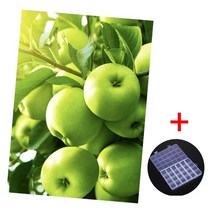 MJS 보석십자수 캔버스형 50 x 40 cm DIY 세트 + 비즈함 증정 BSX20, 행운 풍수 재물 청사과