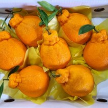 제주 고당도 써니트 한라봉 선물용 대과 2.5kg 선물 세트 보자기포함한라봉 서귀포한라봉 제주도한라봉 선물 과일봉, <상품선택>” class=”wr-img”></a></div></p></div></p></div></p></div><div class=