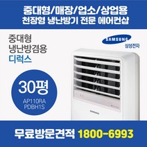 삼성 스탠드 에어컨 PAC 냉난방기 인버터 디럭스 30평 (AP110RAPDHH1S)