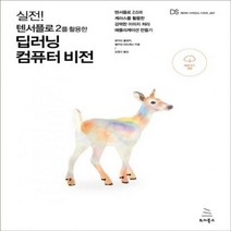 실전! 텐서플로 2를 활용한 딥러닝 컴퓨터 비전 텐서플로 2.0과 케라스를 활용한 강력한 이미지 처리 애플