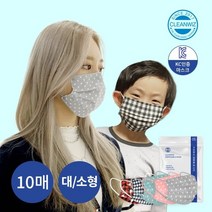 크린위즈 국내제작 3중MB필터 10매입 일회용 패션 덴탈마스크, 도트그레이:대형