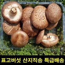 에스 ND 고씨네 생표고버섯중 상품1 kg 선물, 우리홈마트 1, 우리홈마트 본상품선택