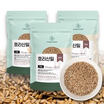 고품질 터키산 호라산밀 쌀 3kg 6kg 고대곡물 이집트쌀 카뮤트 카무스 카무드, 1kg, 6개