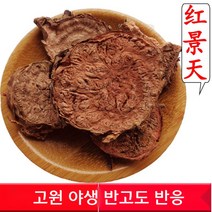 한약재 홍경천 티베트 천연차 정제 고원 특산품 500g, 1