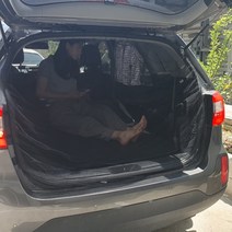 팰리세이드모기장 모하비모기장 차박 차량모기장 올뉴카니발모기장, 차량용 차박 트렁크 모기장 블랙