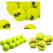 경기용 시합구 테니스공 다용도테니스공 (2개입/10개입), 03) 스타 연습용 테니스공 (10개입)