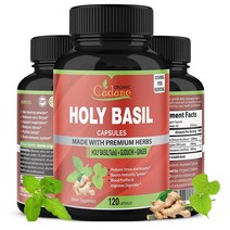 해외 Organic Cadane Holy Basil 홀리 바질 툴시 생강
