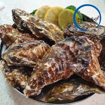 [산지직송] 청정해역 통영 당일생산 당일발송 브러쉬 세척 석화 10kg