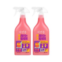 LG 생활건강 자연퐁 뿌려쓰는 간편 주방세제 애플향 500ml x 2개