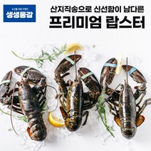 고씨네 활랍스타 450g 랍스터 자숙랍스터 킹크랩 랍스타 활랍스터 랍스타꼬리 냉동랍스터 랍스터찌는법 크레이피쉬 랍스타가격 [WB15FE0], 1개, 쿠팡 본상품선택