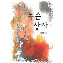 신영미디어 새책-스테이책터 [녹슨 상자] -신영미디어-정수인 지음-한국 로맨스소설-20071222 출간-판형 152x223(A5신, 녹슨 상자