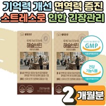 식 약 처인증 자주 깜빡할때 까먹을때 흐릿한 기억 에좋은 해슬브린 기억력 두뇌 뇌 건강 영양제 보조제 진세노사이드 테아닌 효능 학생 회사원 중년 남성 여성 시니어 2개월