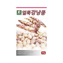 풋콩 얼룩강낭콩 씨앗 30g 왜성 저장용 무병지 재배, 1개