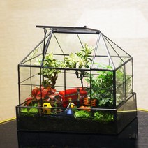 비바리움 용기 생태병 테라리움 이끼 키우기 조경 조명 식물, 미래가능(패키지 조립식)