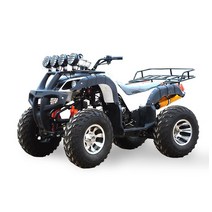 4륜 구동 농업용 오토바이 사륜 바이크 산악 트랙터, E 패키지