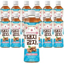 광동 돼지감자차 500ml x 12개 11203681