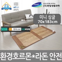 한일생활과학 프리미엄 거실 전기 장판 매트 바닥 환경호르몬 라돈안심 전기매트, 현대L&C대청 전기장판 미니싱글(70*183/바닥용)
