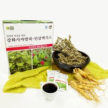 강화약초 사자발약쑥 엑기스 건강즙, 100ml, 인삼쑥엑기스 30개입 x 2박스