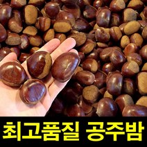햇공주밤 1KG 칼집X 밤보관법 공주밤 밤삶기 옥광밤, 1000g
