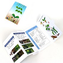 북아트-식물의한살이