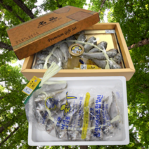 먹사부 영광 법성포 국내산 굴비 선물세트 선물용 가정용 소 중 특대 장대 말린 10마리 20미 포장 대용량 생선 참조기 제수용 소포장, A-1. 20마리 굴비 선물세트(1.0kg)