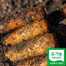 산지직송 제주 유기농 당근 흙당근 3kg 5kg 10kg, 유기농흙당근_5kg_특상혼합