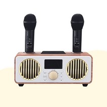 NEBEPE 노래방 듀얼 무선 블루투스마이크 BSE-NBF9000x741kh, 본상품선택, 본상품선택