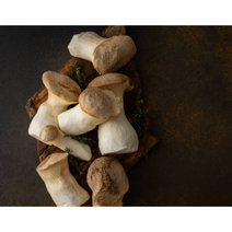 산지직송 참송이버섯 1kg 국내산참송이버섯 가정용 송이버섯 참송이 자연산송이버섯 송이버섯국산 참송이버섯선물세트 송이 버섯 국내산, 2kg