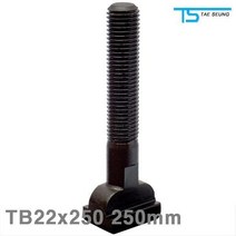 CVS453375TB22x250 태승클램프 (1EA) T-슬롯볼트 250mm M22x2.5P 38x22x16