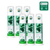 덴티스테 플러스화이트 펌프치약 170g 6개, 없음, 상세설명 참조