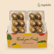 [KT알파쇼핑][수플린] 제스프리 골드키위 선물 1.7kg이상(5-7입 x2팩/총11-14입)