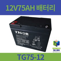 12V75AH 전동휠체어배터리 전동스쿠터배터리 대세 케어라인 전동차배터리 TG75-12, 1개