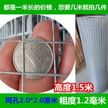 원터치모기장 보호망 아연도금 스틸와이어망 쥐퇴치 가드레일 네트워크 파티션 오프라인 채소밭 텃밭 양식 철사 스틸망 사육망, T16-구멍 20CM굵음 12mm(폭)12미
