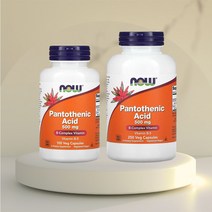 나우푸드 판토텐산 500mg 100 250캡슐, 100캡슐