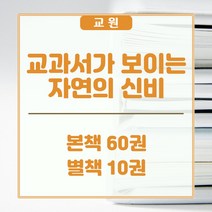 교원올스토리 교원 교과서가 보이는 자연의 신비 - 새상품, 교원 올스토리