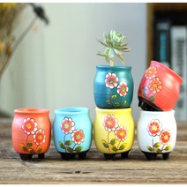 뜰이네 다육이 화분 다육이 분갈이 모종 미니 화분 셋트