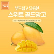 닐스샵_ 망고에이드 망고소스 태국망고 망고스무디 제주도애플망고 망고주스 _neills, 닐스샵_ 고씨네 특급 망고 2KG 태국망고 골드망고 생, 닐스샵_ 특급망고 2KG