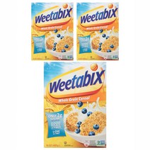 위타빅스 홀 그레인 시리얼, 400g, 3개