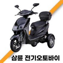 전기오토바이 픽업 배달 세발 전동스쿠터 이동 삼륜차, 상세 페이지 참고, 1000w 모터 배터리 없음 블랙