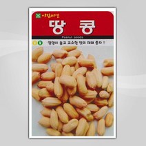 슬로시 슬로시 열매 씨앗 고추 토마토 콩 씨 종자, 땅콩20g(아람)