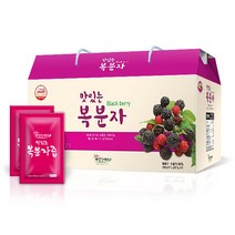 고창 복분자원액/복분자엑기스 1LX2개, 1L*2개