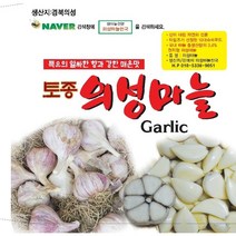 2023년도 마늘 통마늘 한지형 의성마늘 햇마늘 +10톨 덤, 1개, 의성씨마늘 대품3kg 70-80개