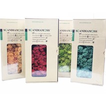 스칸디아모스 소분 20g 30g 50g 500g 소포장 DIY, 모스그린20g